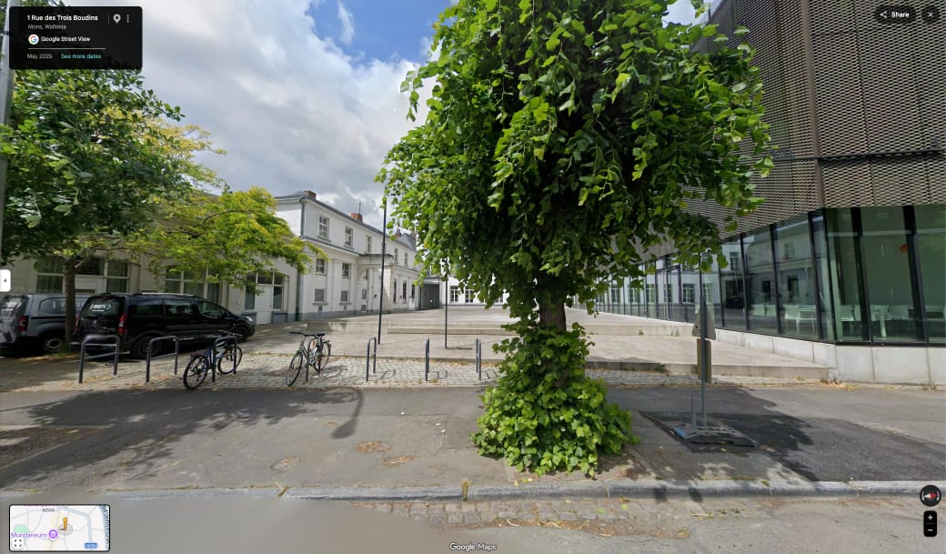 Google View